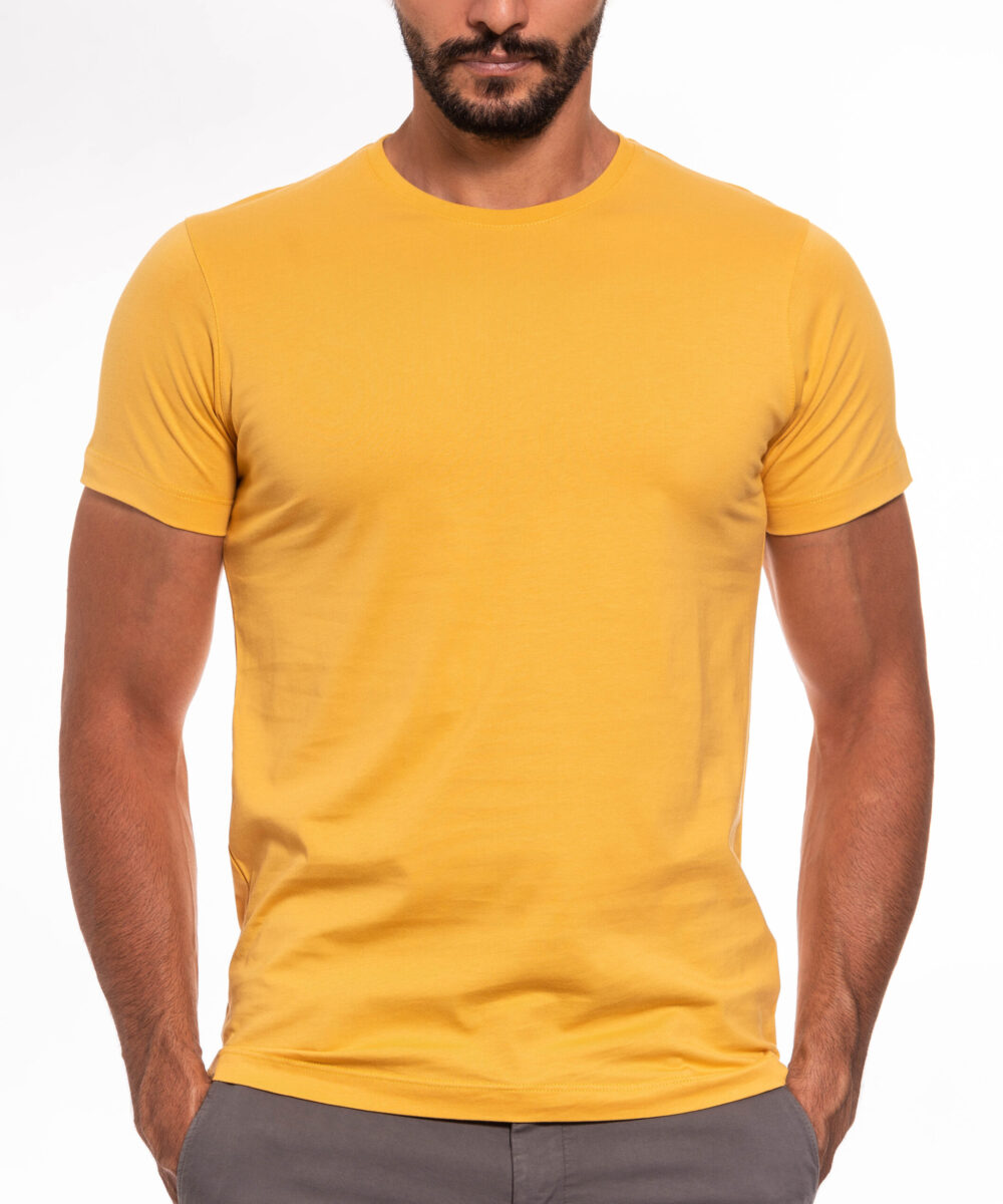 تیشرت مردانه BASIC