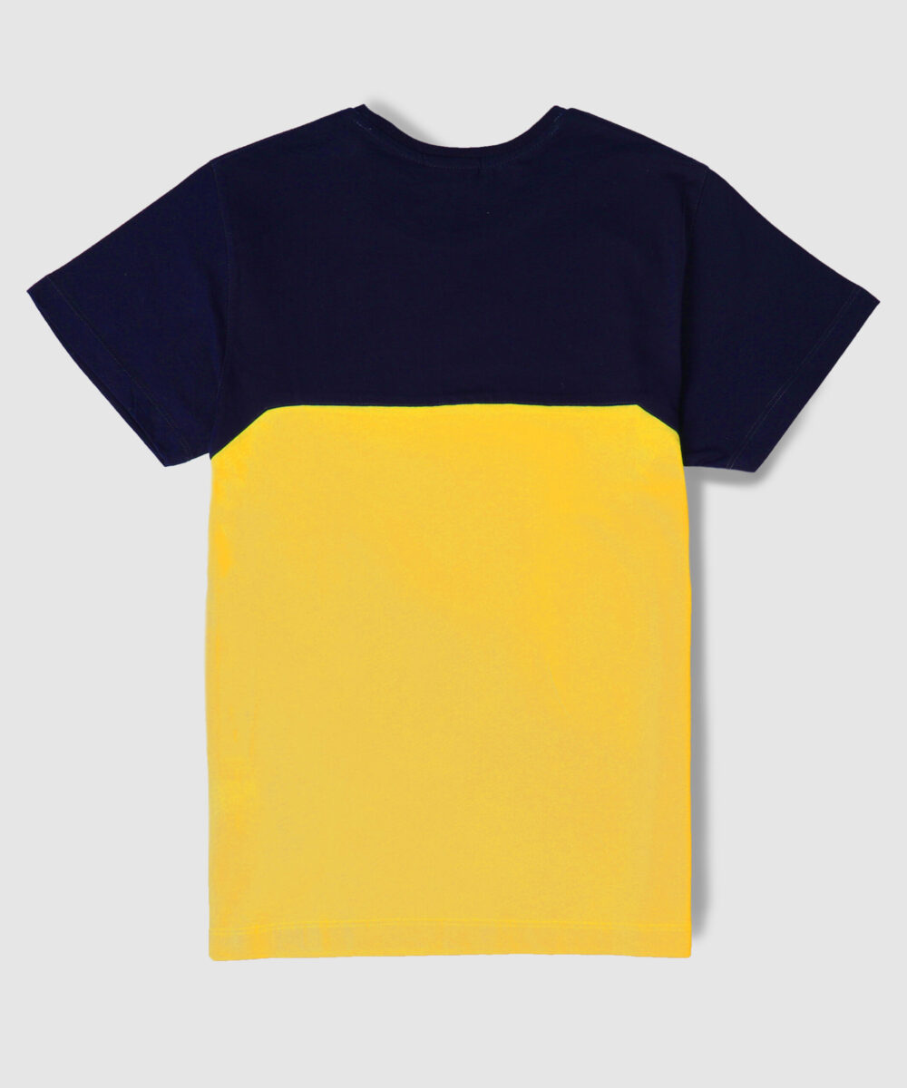 تیشرت مردانه دو رنگ