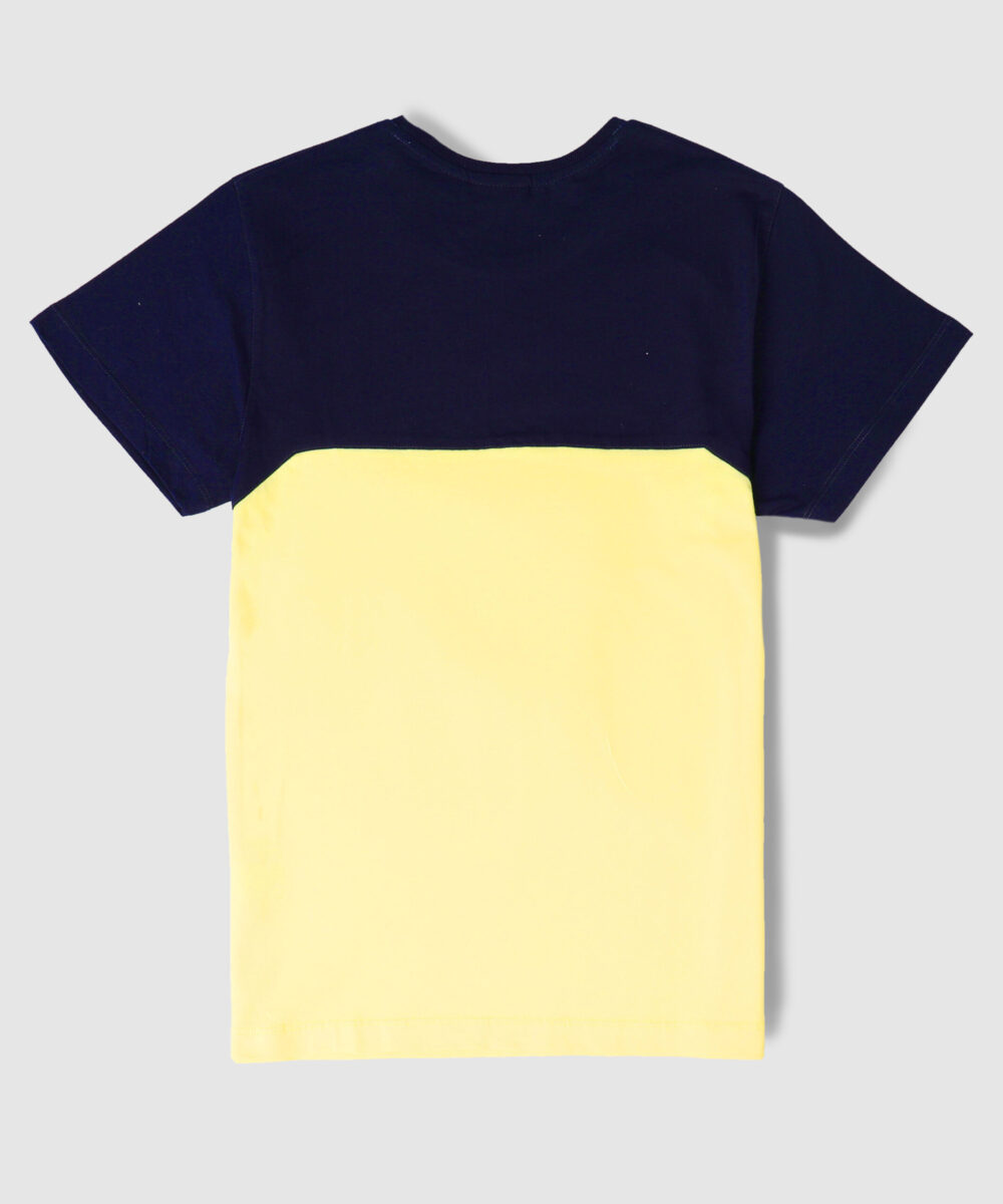 تیشرت مردانه دو رنگ