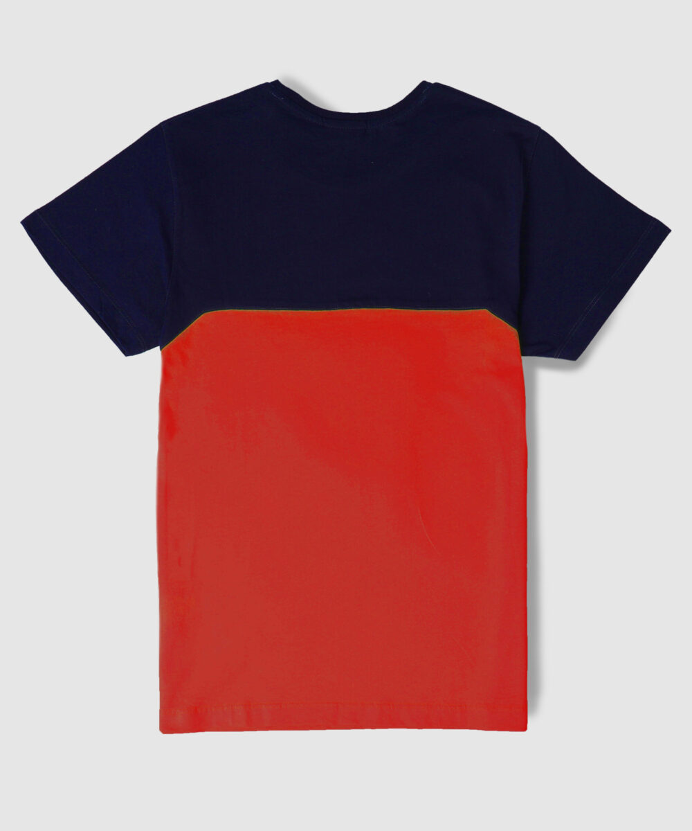 تیشرت مردانه دو رنگ