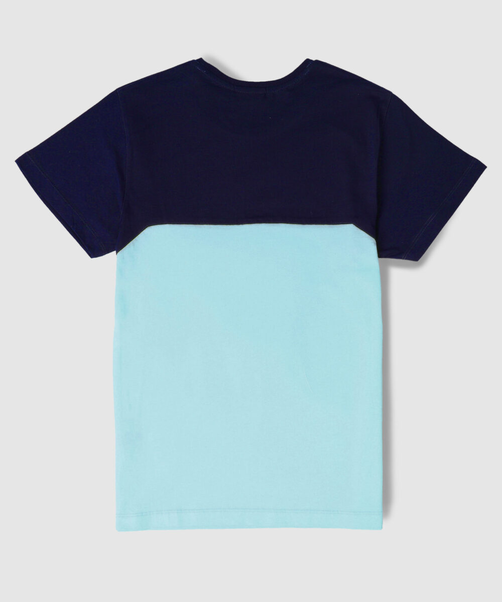 تیشرت مردانه دو رنگ