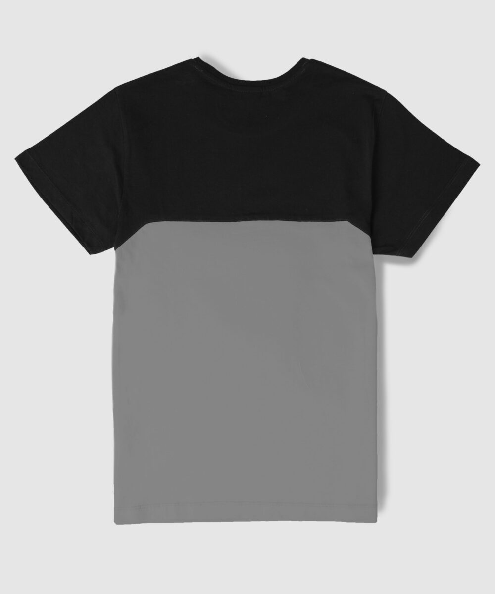 تیشرت مردانه دو رنگ