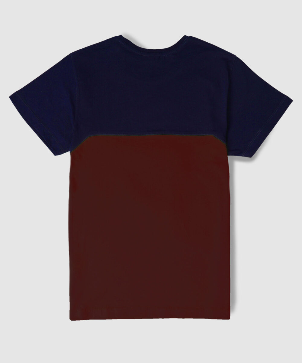 تیشرت مردانه دو رنگ