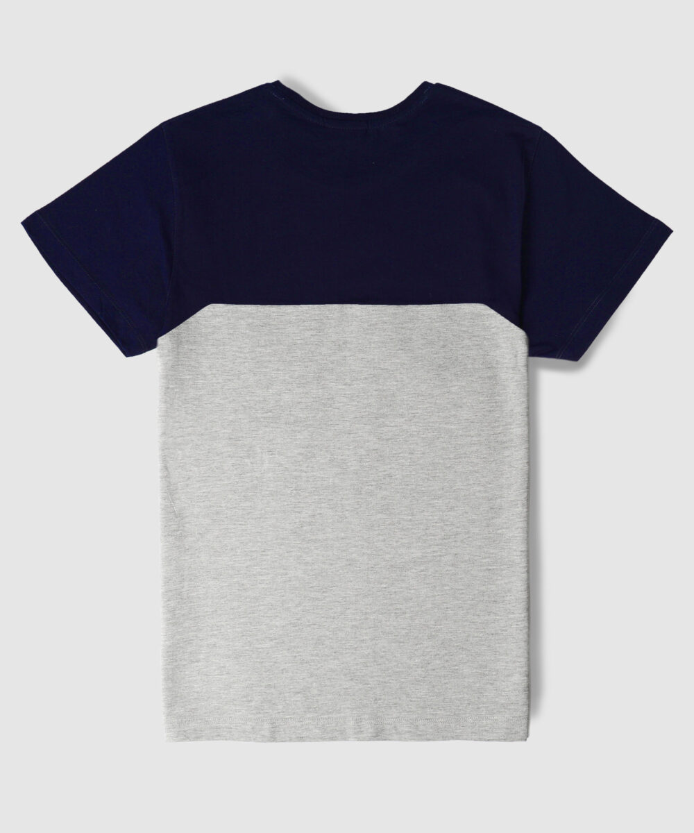 تیشرت مردانه دو رنگ