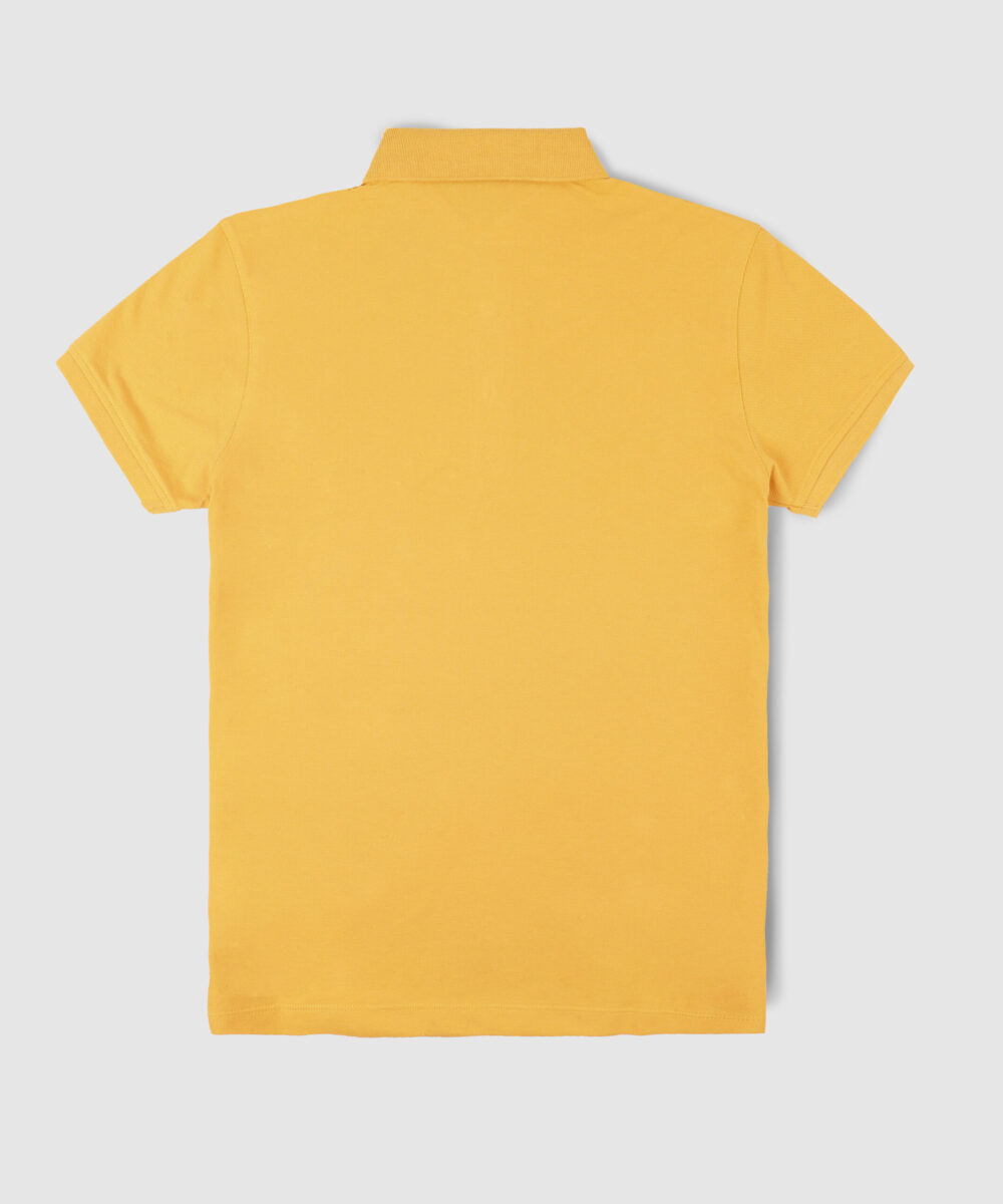 پولوشرت مردانه