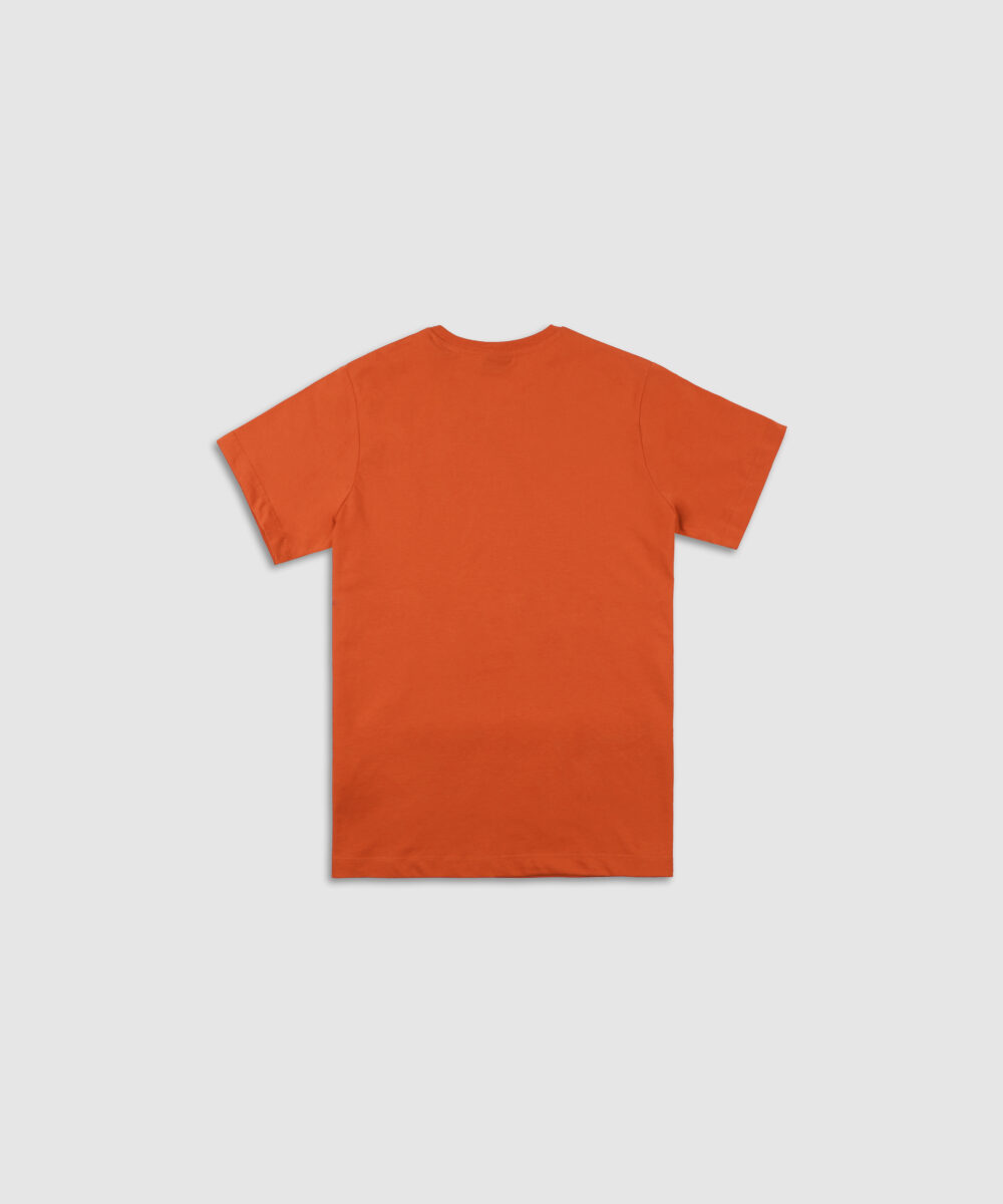 تی شرت مردانه