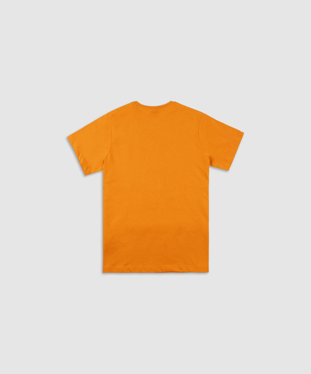 تی شرت مردانه