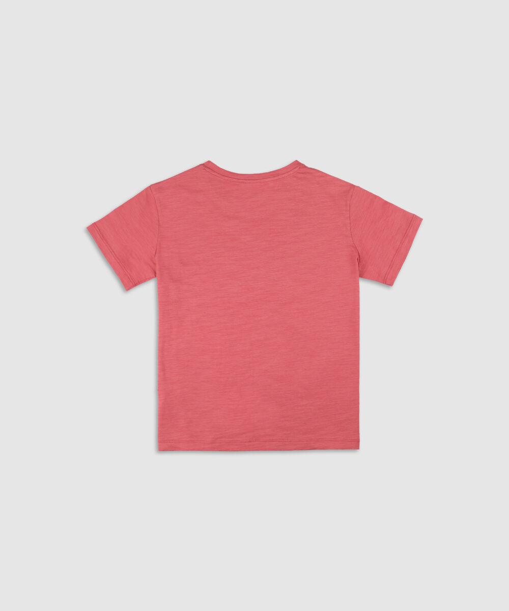 تی شرت مردانه