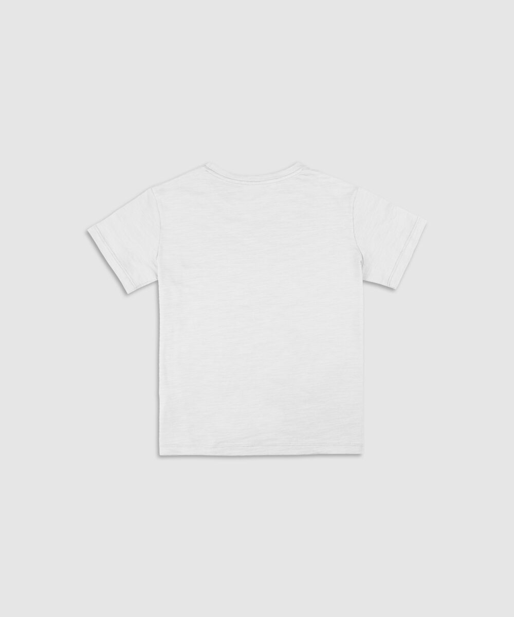 تی شرت مردانه