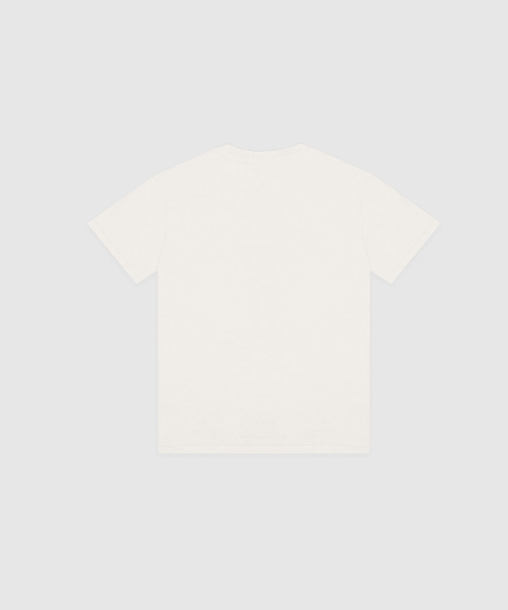 تیشرت-مردانه-4829-2