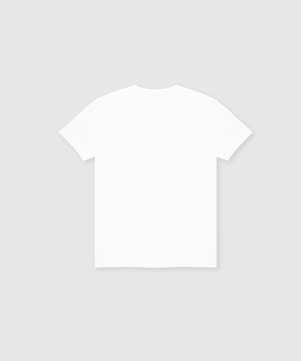 تیشرت-مردانه-5022-11