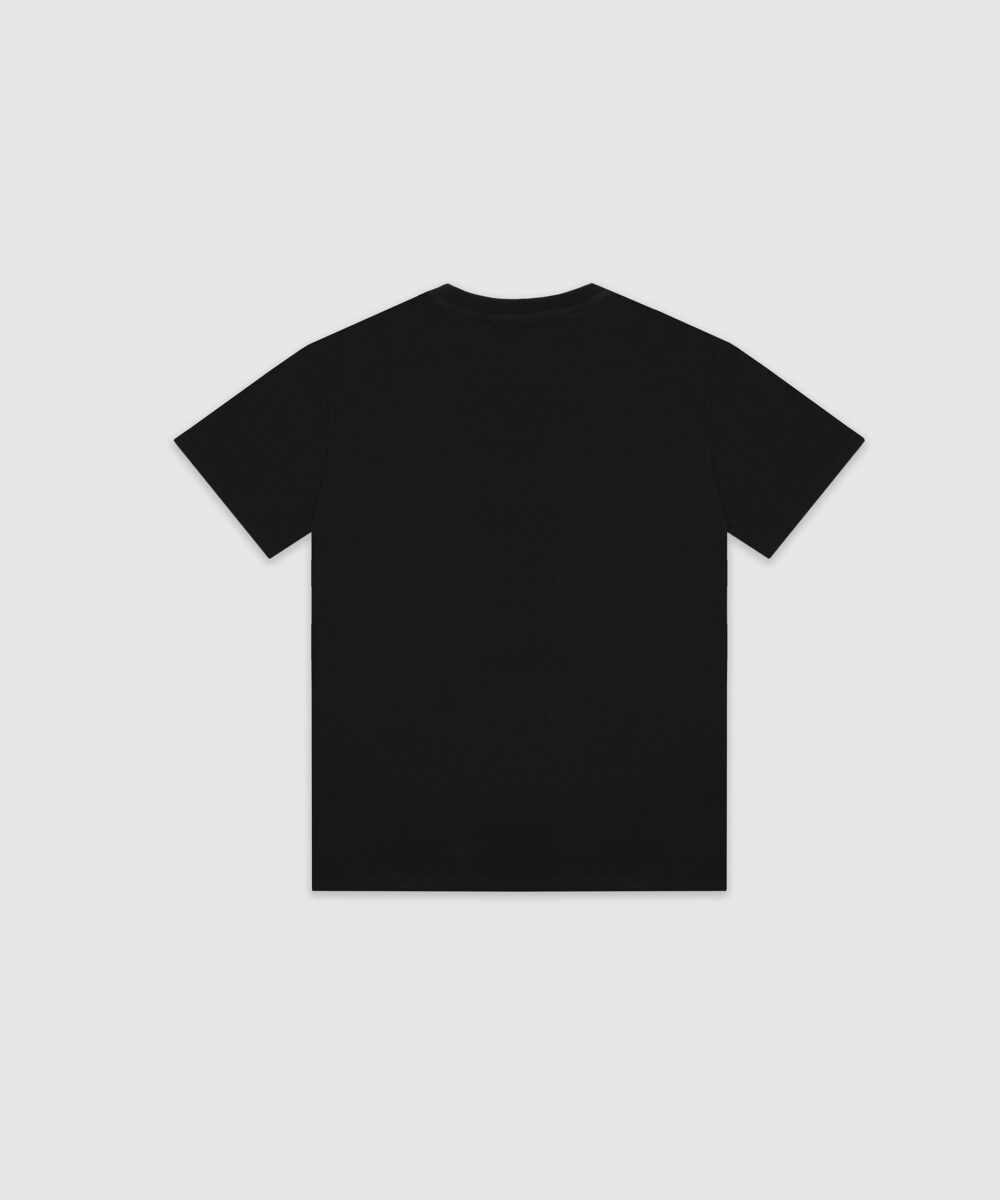 تیشرت-مردانه-4829-6