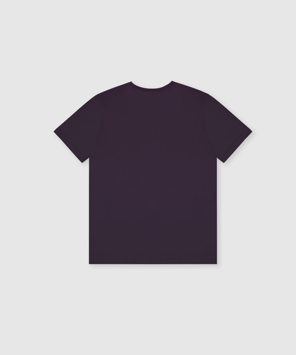 تیشرت-مردانه-4877-12