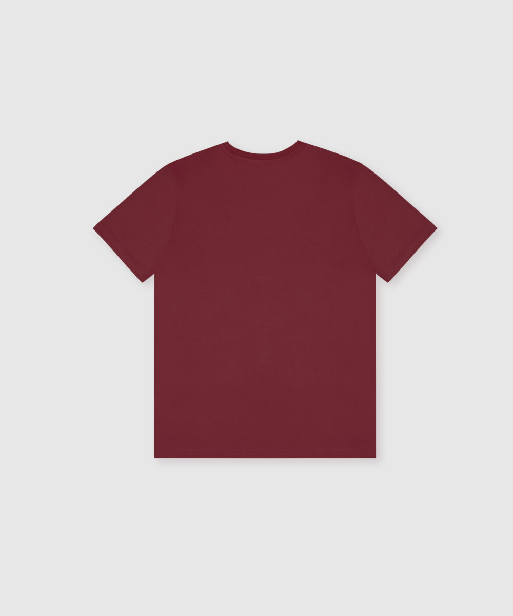 تیشرت-مردانه-4877-8