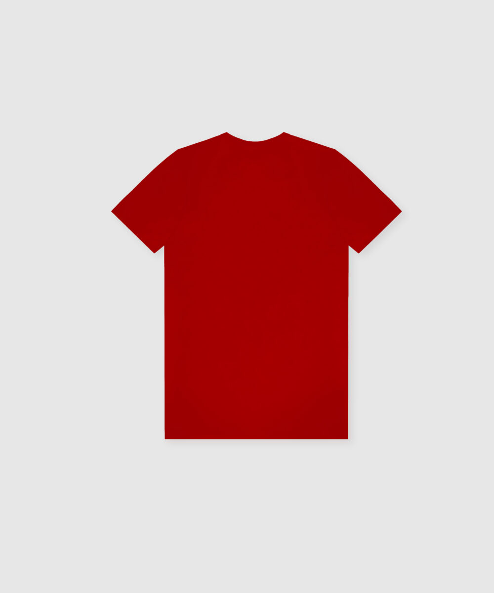 تیشرت-مردانه-4840-12