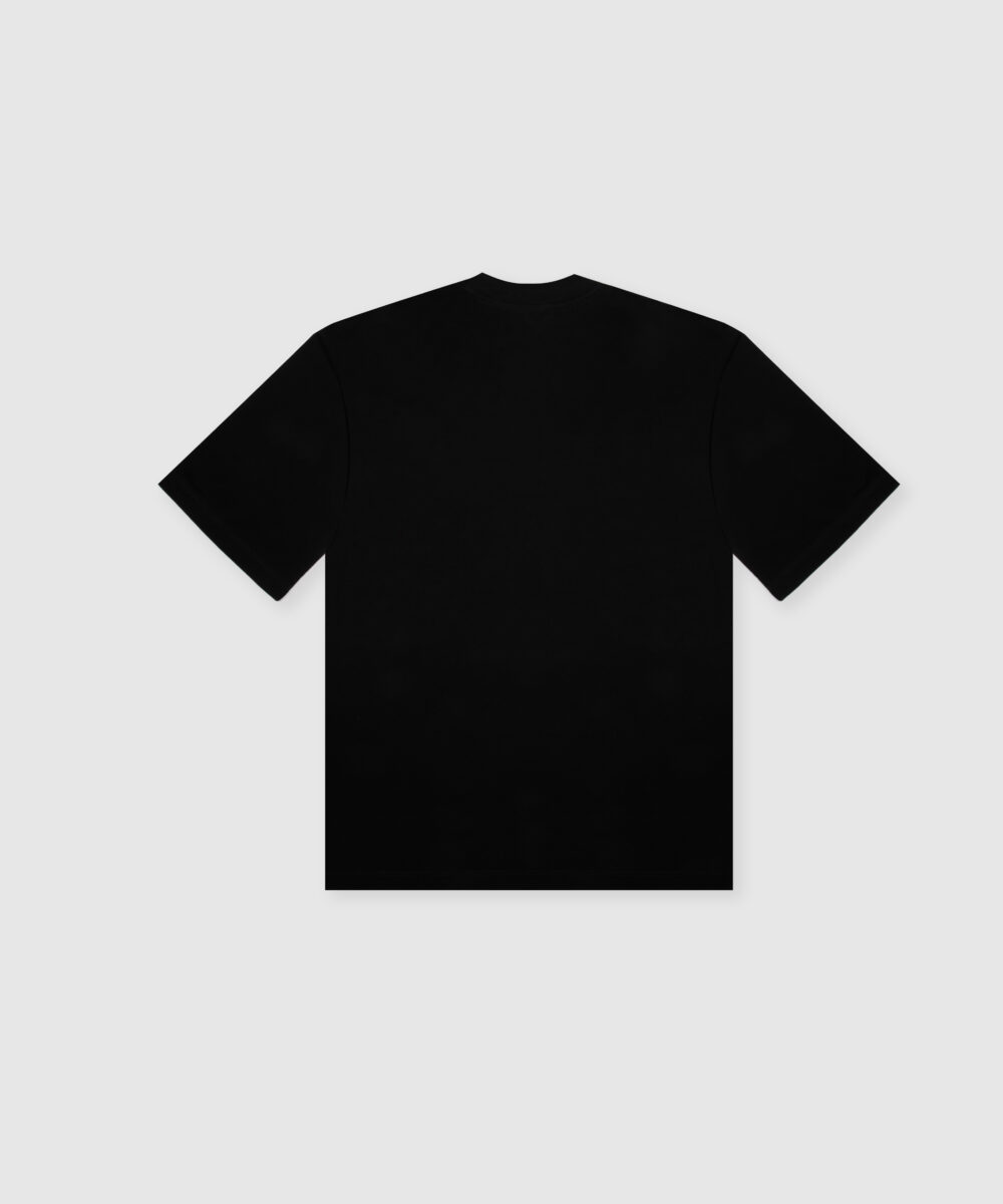 تیشرت-مردانه-4851-2